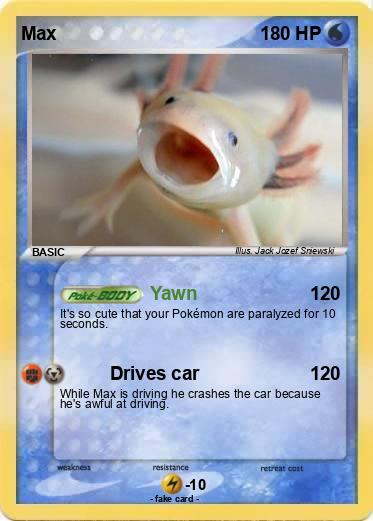 Pokemon Max
