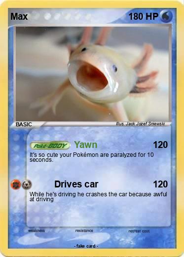 Pokemon Max