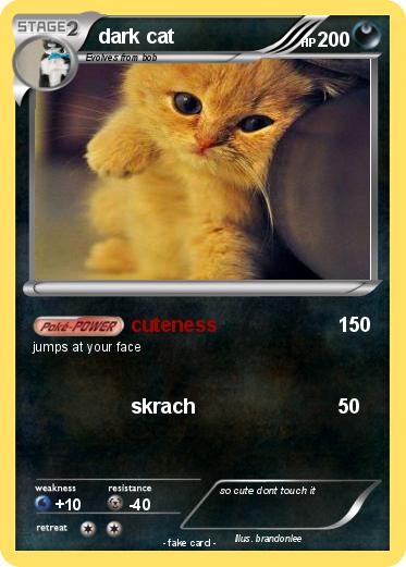 Pokemon dark cat