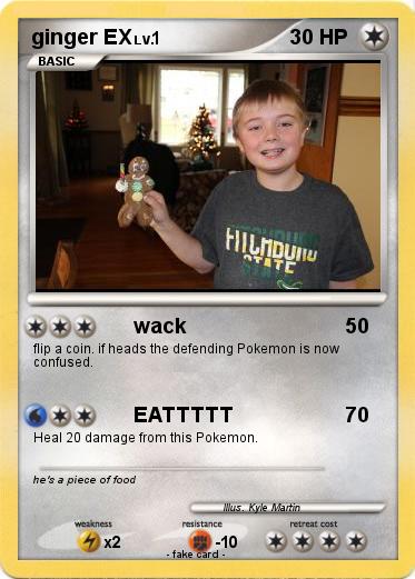Pokemon ginger EX