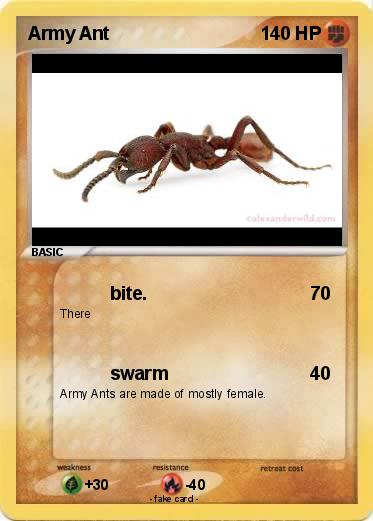 Pokemon Army Ant