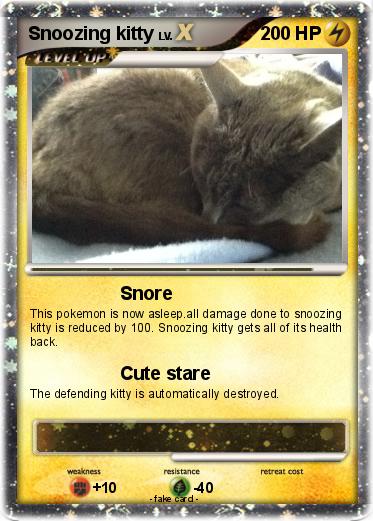 Pokemon Snoozing kitty