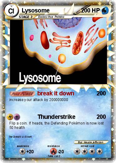 Pokemon Lysosome