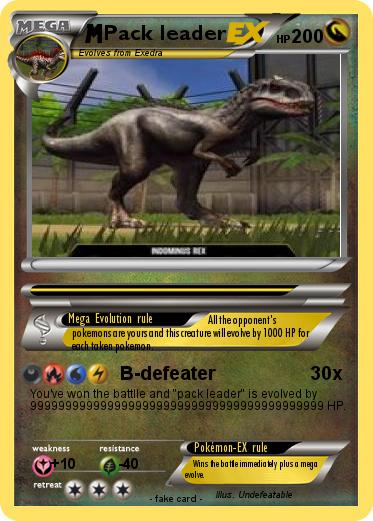 Pokemon Pack leader