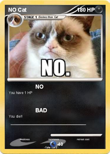 Pokemon NO Cat