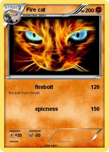 Pokemon Fire cat