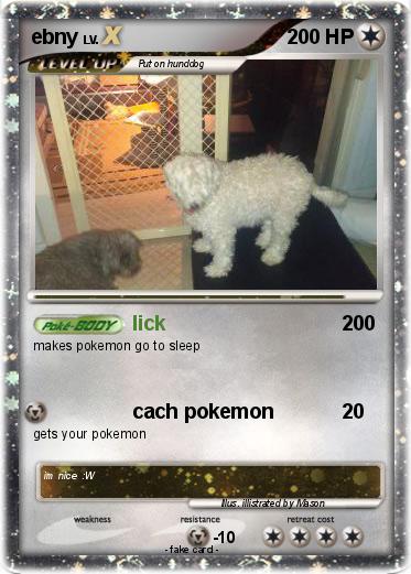 Pokemon ebny