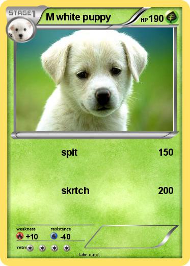 Pokemon M white puppy