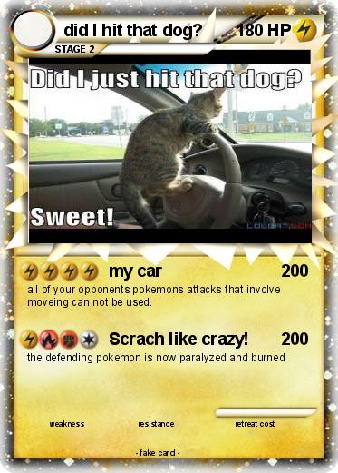 Pokemon did I hit that dog?