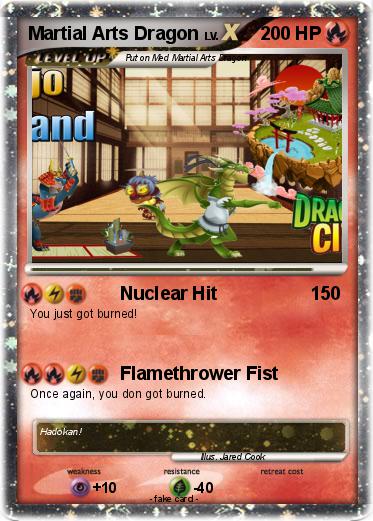Pokemon Martial Arts Dragon