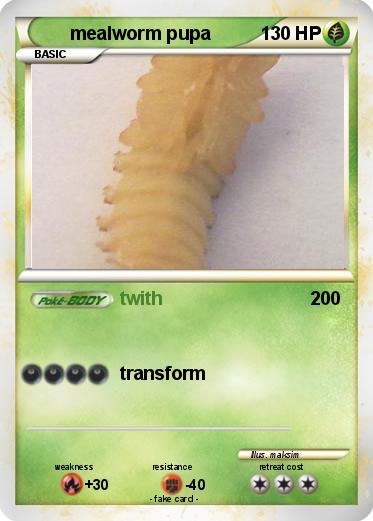 Pokemon mealworm pupa