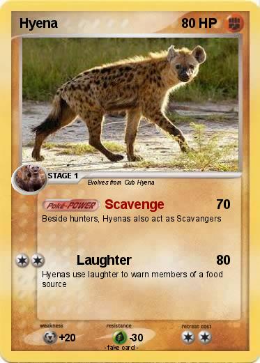Pokemon Hyena