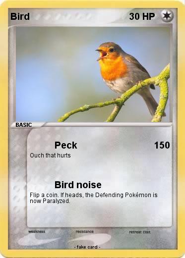Pokemon Bird