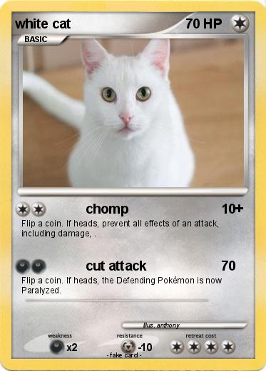 Pokemon white cat
