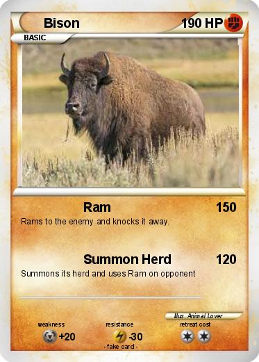 Pokemon Bison