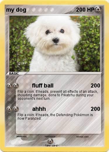 Pokemon my dog