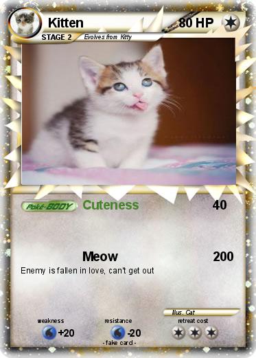 Pokemon Kitten