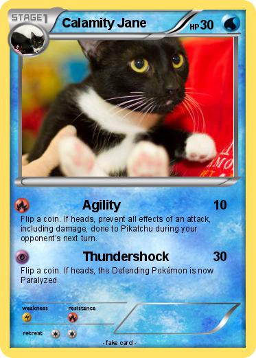 Pokemon Calamity Jane