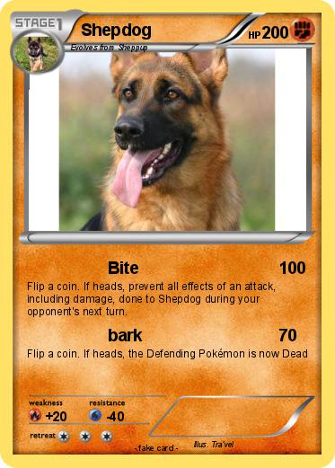 Pokemon Shepdog