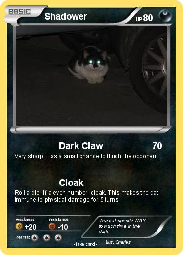 Pokemon Shadower