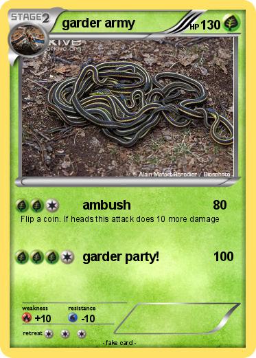Pokemon garder army