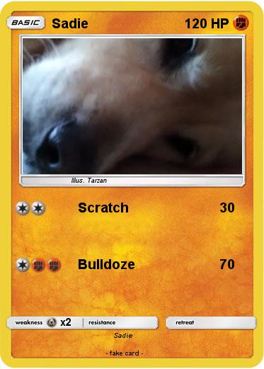 Pokemon Sadie