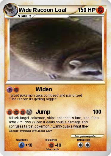 Pokemon Wide Racoon Loaf