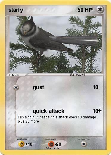 Pokemon starly