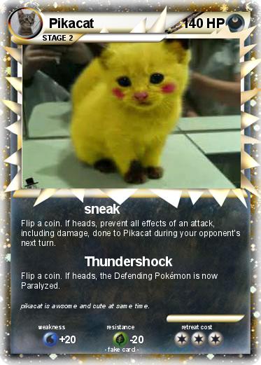 Pokemon Pikacat