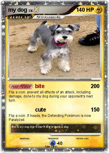 Pokemon my dog