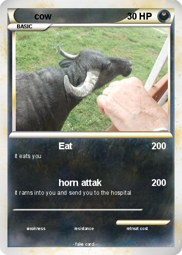 Pokemon cow