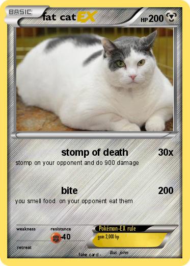 Pokemon fat cat