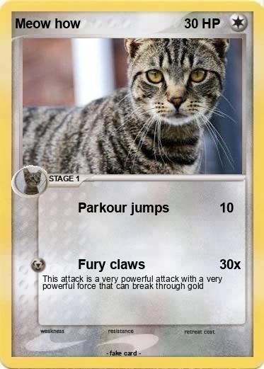 Pokemon Meow how