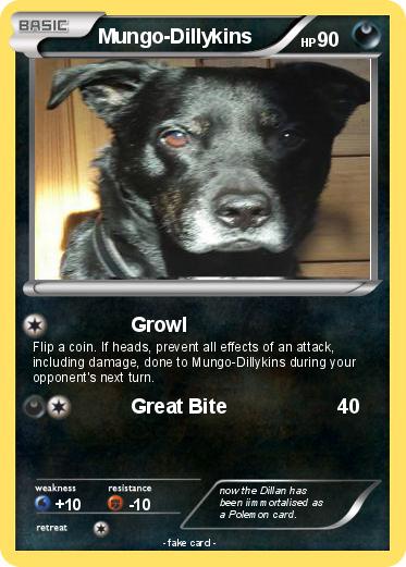 Pokemon Mungo-Dillykins