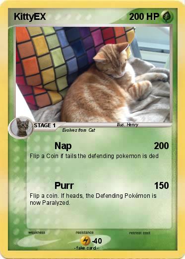 Pokemon KittyEX