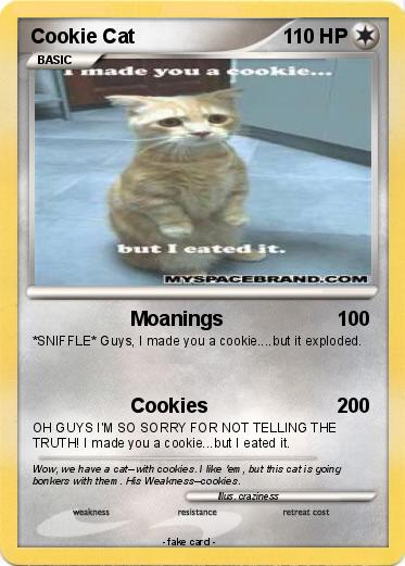 Pokemon Cookie Cat