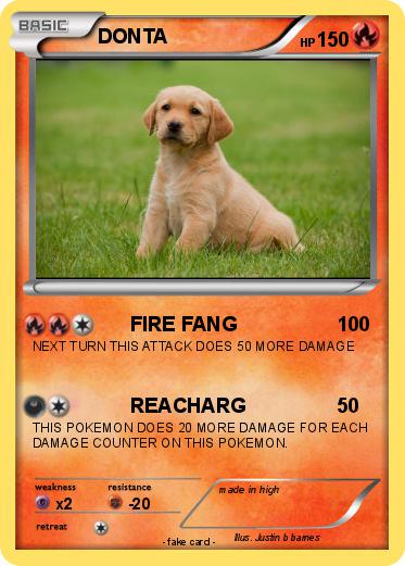 Pokemon DONTA