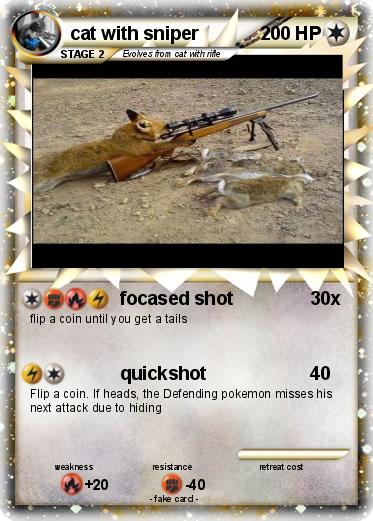 Pokemon cat with sniper