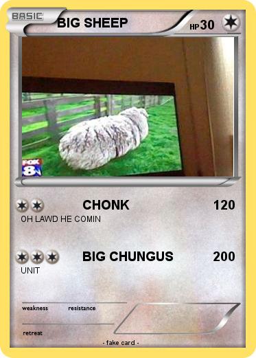 Pokemon BIG SHEEP