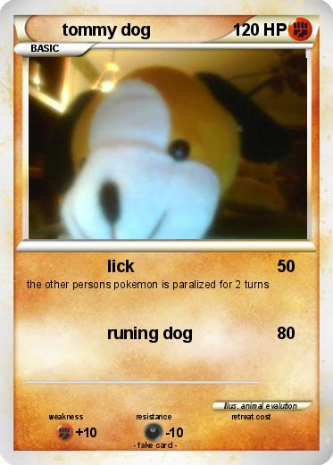 Pokemon tommy dog