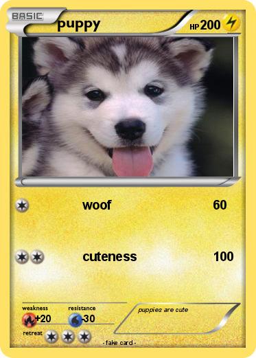 Pokemon puppy