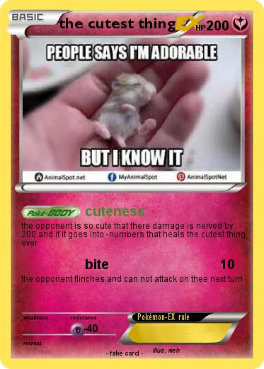 Pokemon the cutest thing