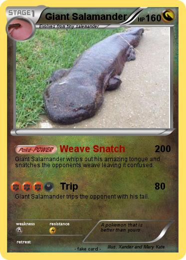 Pokemon Giant Salamander