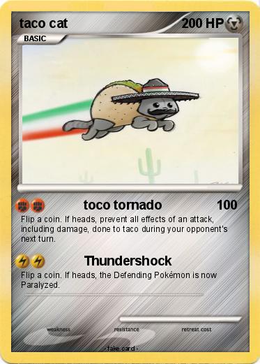 Pokemon taco cat