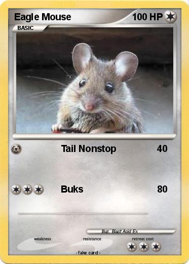 Pokemon Eagle Mouse