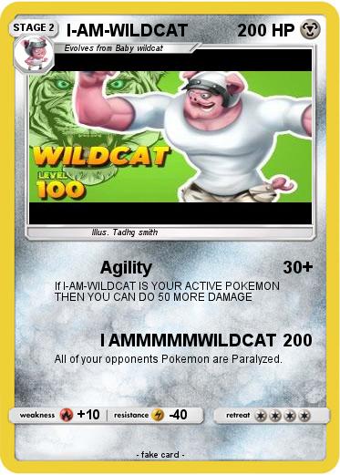 Pokemon I-AM-WILDCAT