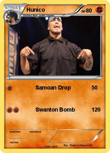 Pokemon Hunico