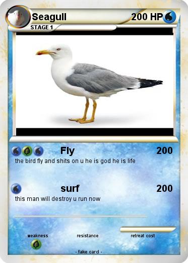 Pokemon Seagull