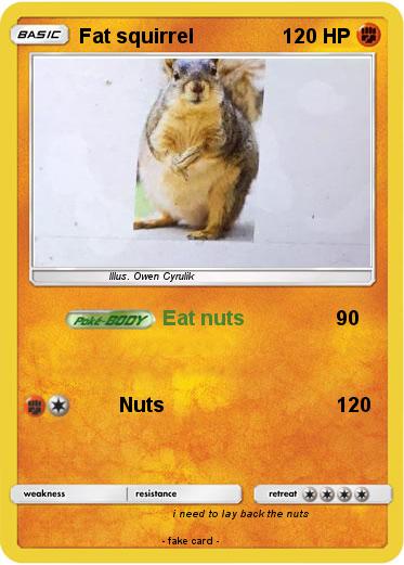 Pokemon Fat squirrel
