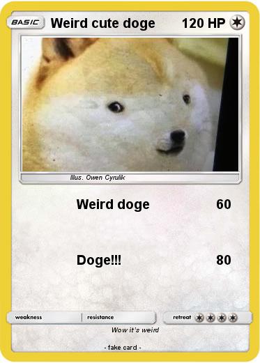Pokemon Weird cute doge